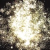 Полный песец ЕС440 (1,0