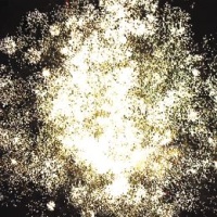 Полный песец ЕС440 (1,0