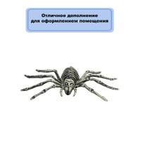 Скелет паука 25х14см/G