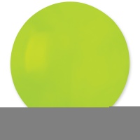 И 19"/011 Пастель Light Green