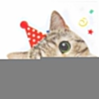 Салфетка Котики фотографичные 33см 12штG