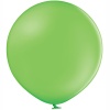 Р 250/014 Пастель Экстра Lime Green(60cм