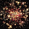 Фиеста  Р7064  (0,8