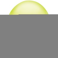 Q 11" Фэшн Chartreuse