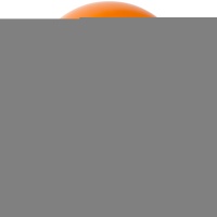 Е 12" Пастель Orange
