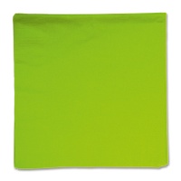 Салфетка Kiwi Green 33см 16шт/А