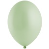 В 85/452 Пастель Экстра Kiwi Cream