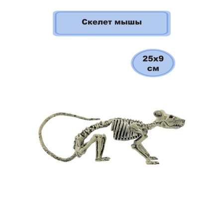 Скелет мыши 25х9см/G
