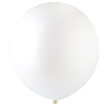 Р 250/002 Пастель Экстра White (60см)
