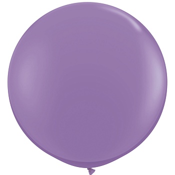 Q 3' Фэшн Spring Lilac