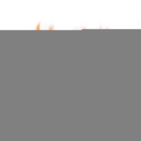 Перья декоративные Оранжевые 10см 30шт/G