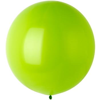 Э 24"/280 Фэшн Lime Green