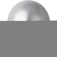 Е 10" Хром Silver