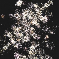 Фантастика Р5540 (0,9